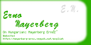 erno mayerberg business card